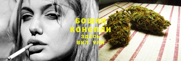 mix Козельск