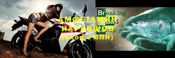 ГАЛЛЮЦИНОГЕННЫЕ ГРИБЫ Корсаков