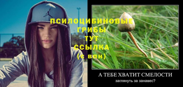 марки nbome Кодинск