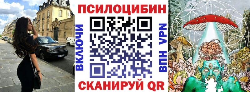 где купить наркоту  Ясный  Галлюциногенные грибы ЛСД 