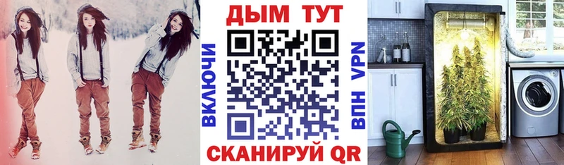 Шишки марихуана AK-47  дарнет шоп  Ясный 